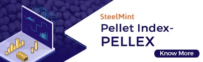 https://www.steelmint.com/fileForMail/SM_PELLEX_Methodology.pdf